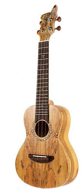Janny Ukulele Concert - JC102 Spalted Maple 