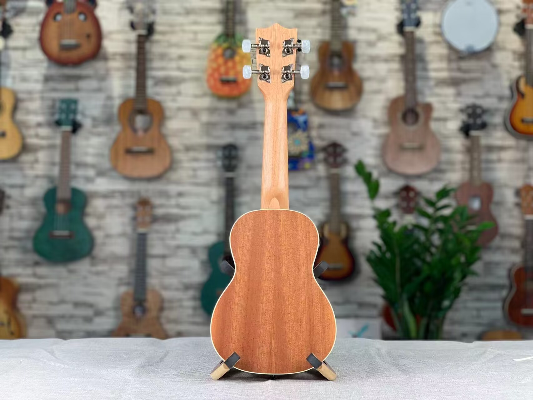  NoName Ukulele in 3 Größen Sapelle UK-SSB