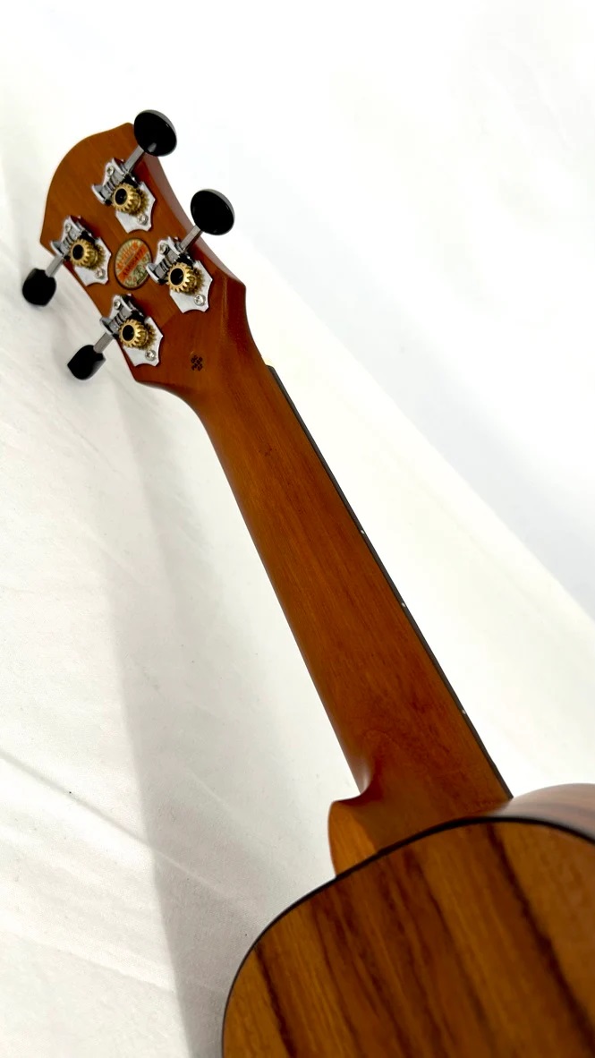 aNueNue T4 Tenor Ukulele  