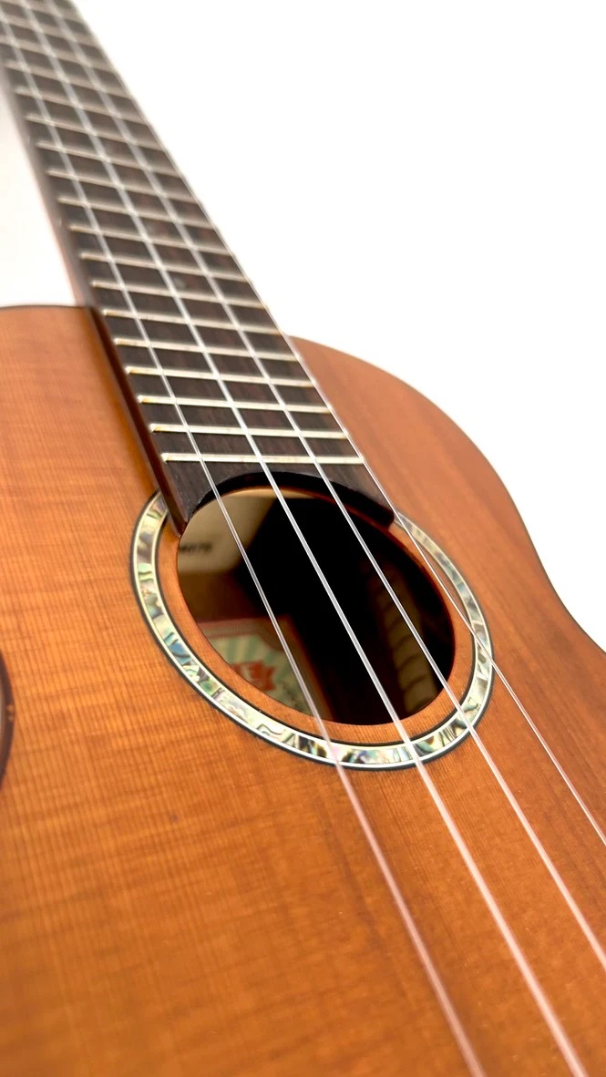 aNueNue T4 Tenor Ukulele  