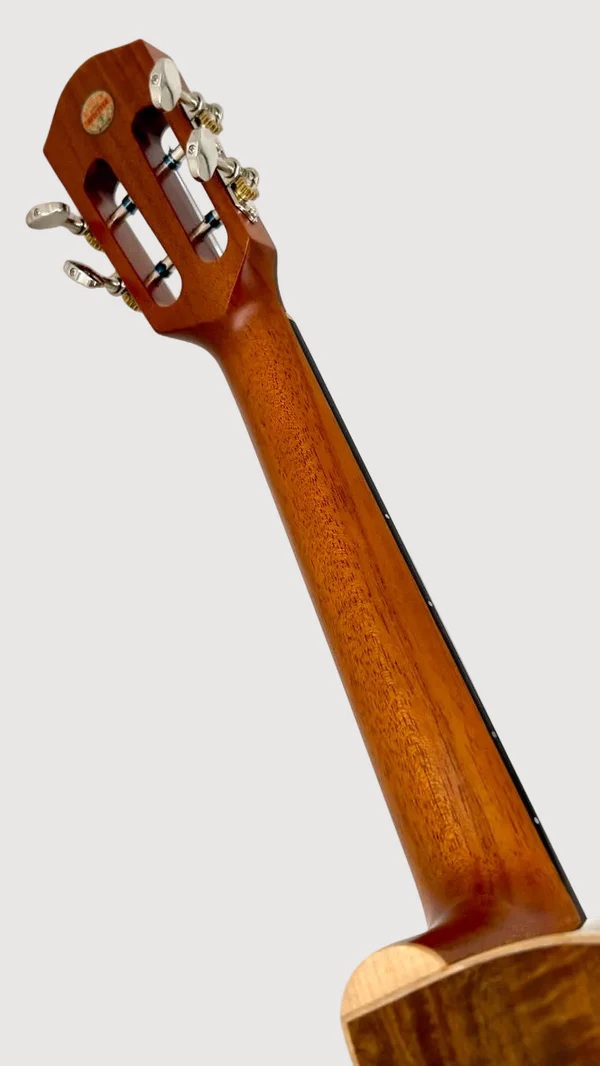 aNueNue UT188MB Feather Series – Premium Tenor Ukulele mit Double-Top und 5A Taiwan Koa