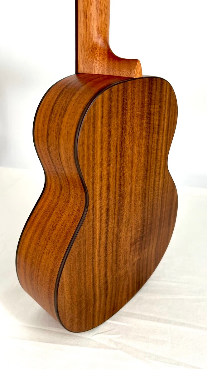aNueNue T4 Tenor Ukulele  