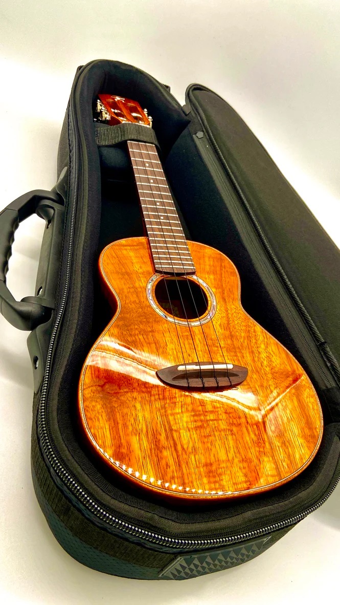 aNueNue AKK2E Konzert Ukulele PU