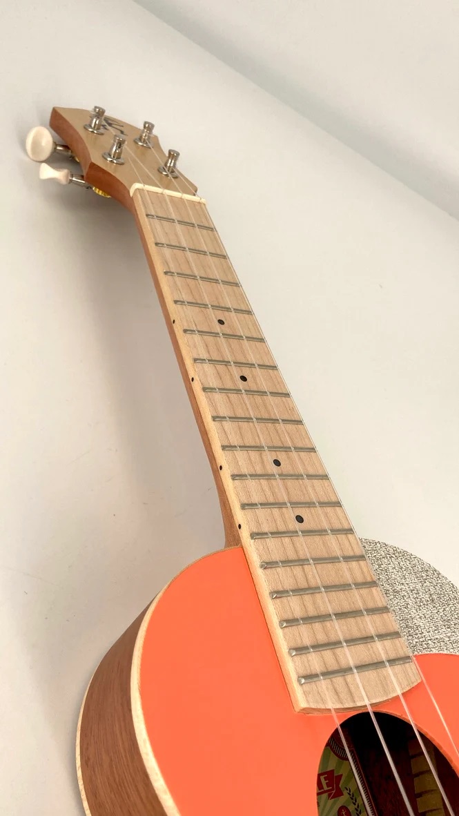 aNueNue US10, living coral