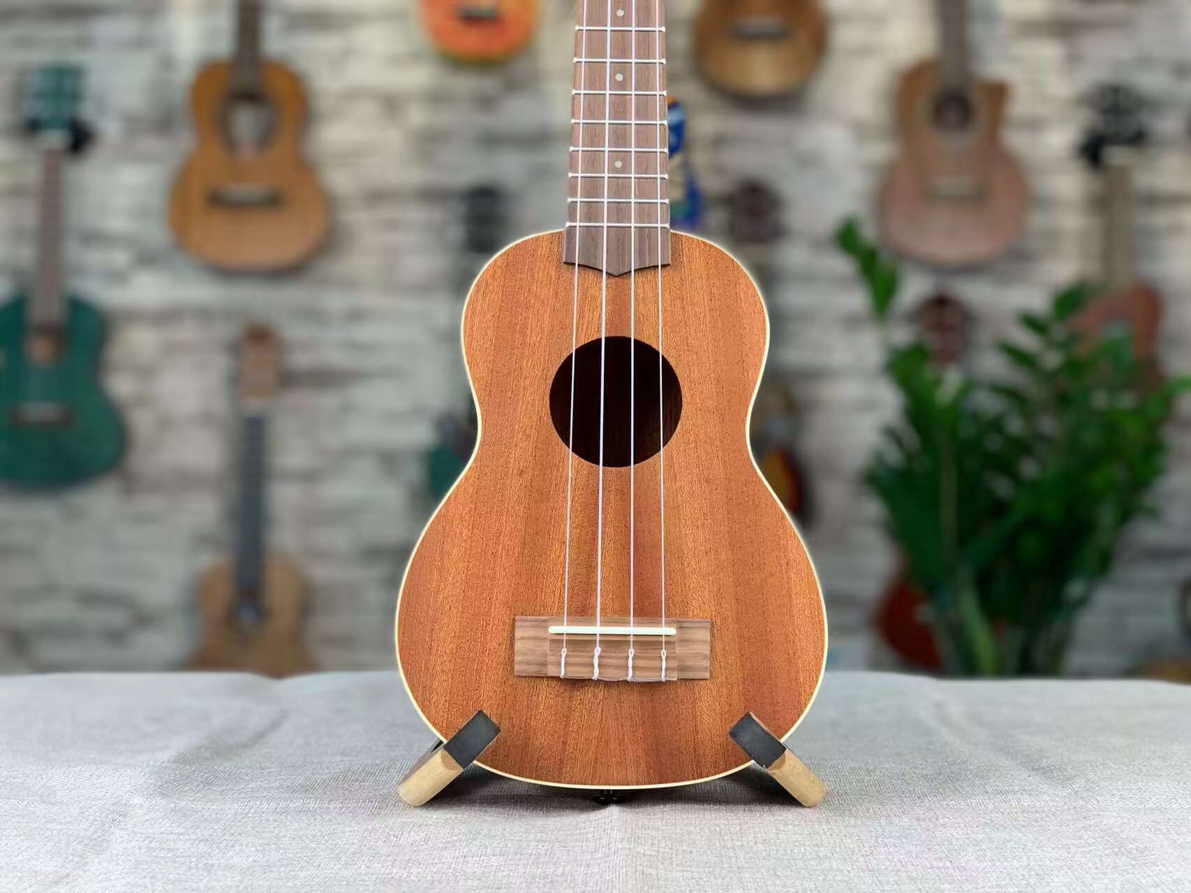  NoName Ukulele in 3 Größen Sapelle UK-SSB